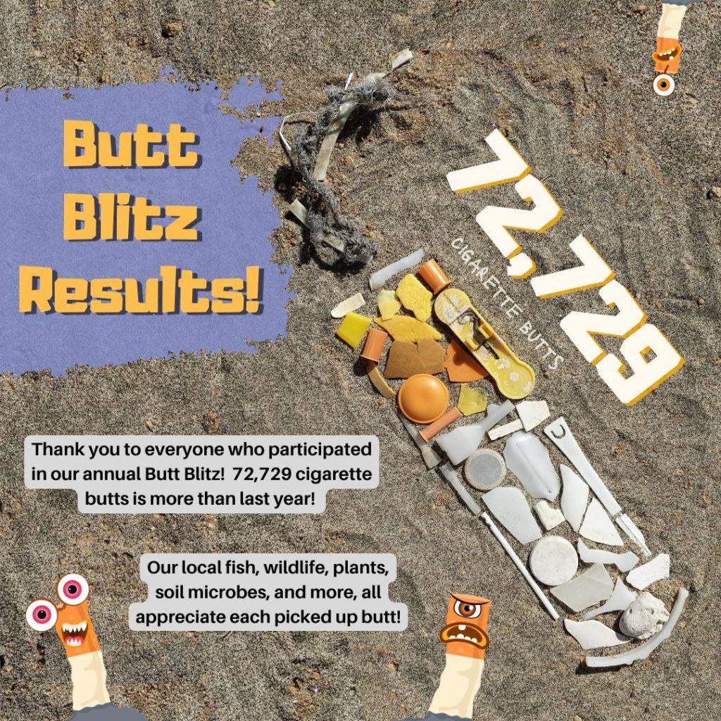 An image of sand with small trash items collected on top and text that says Butt Blitz Results: 72,729 cigarette butts