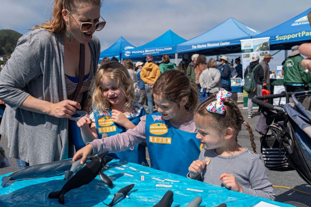 A woman and three young Girl Scouts look at small whale figures on a table