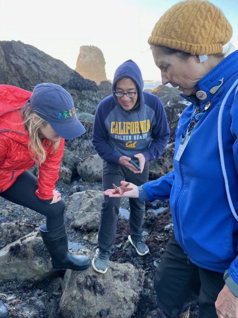 Three adults at a tide pool event looking at a sea star