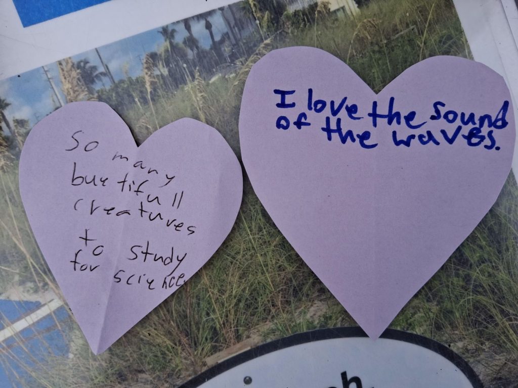 Two purple cut-out hearts containing written messages about the ocean