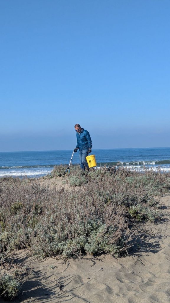 A volunteer at PBC's 28th Annual Beach Planting and Cleanup on the beach