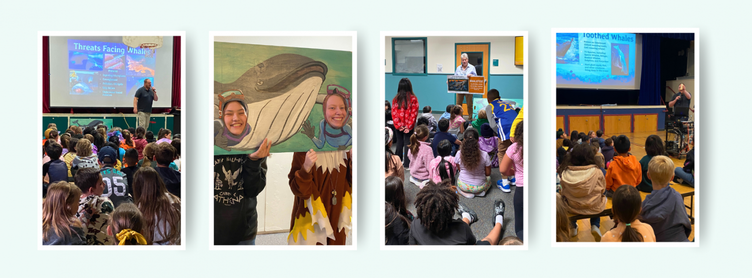 A collage of photos that showcase various youth school assemblies about whales